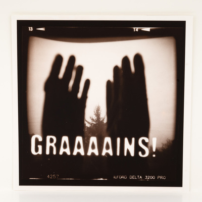 A frame of film, looking at two hands framed by a window that looks out at a tree and sky. The title is overlaid in white macro text.