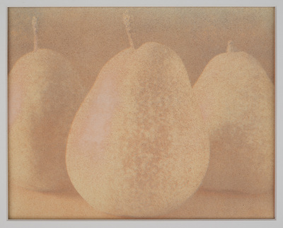 Still life close-up on three pears. Mottled reddish and yellow overall soft color.
