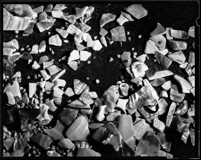 Black and white image of shell fragments and pebbles scattered on a dark background