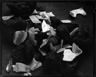 Shell fragments and pumice chunks scattered on a dark background