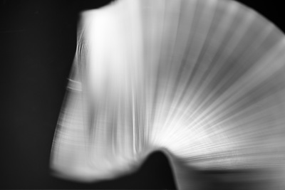 Blurry gray-and-white side view of a slinky in motion (horizontal)