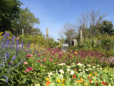 Color image of a garden. Clear blue sky, dark green trees, orange, red, yellow, white and purple flowers massed in the foreground. There are some fenceposts in the background and a fieldstone gatepost.